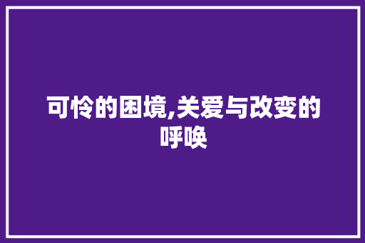 可怜的困境,关爱与改变的呼唤