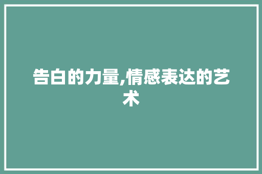 告白的力量,情感表达的艺术