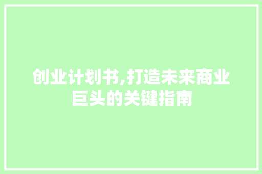 创业计划书,打造未来商业巨头的关键指南