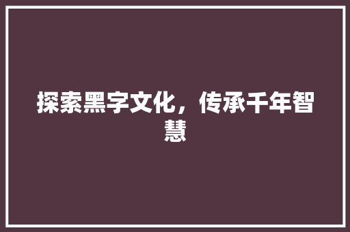 探索黑字文化，传承千年智慧 工作报告