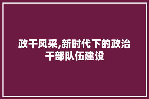 政干风采,新时代下的政治干部队伍建设