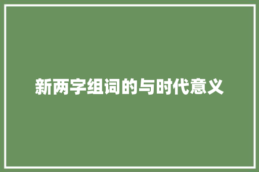 新两字组词的与时代意义