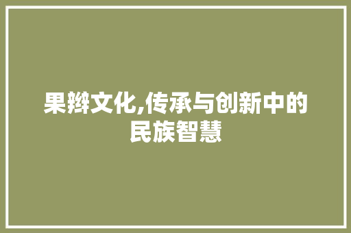 果辫文化,传承与创新中的民族智慧