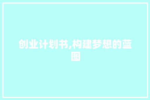 创业计划书,构建梦想的蓝图