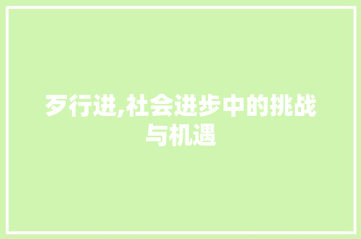 歹行进,社会进步中的挑战与机遇