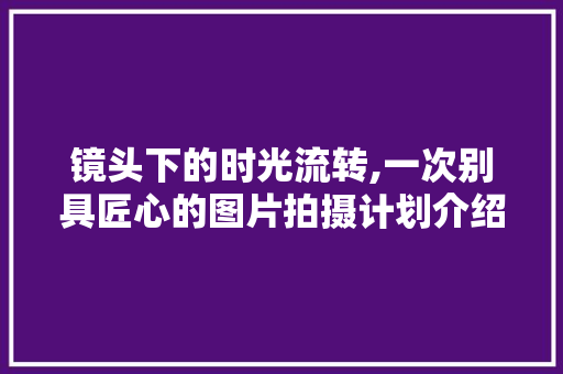 镜头下的时光流转,一次别具匠心的图片拍摄计划介绍