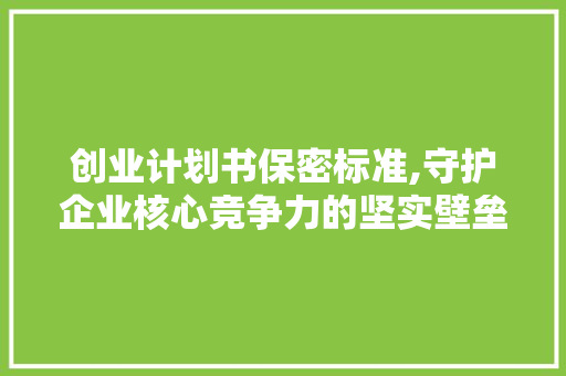 创业计划书保密标准,守护企业核心竞争力的坚实壁垒