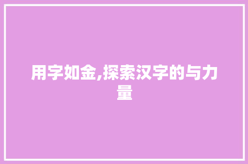 用字如金,探索汉字的与力量