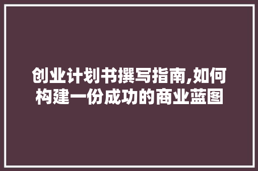 创业计划书撰写指南,如何构建一份成功的商业蓝图