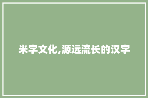 米字文化,源远流长的汉字 特写稿