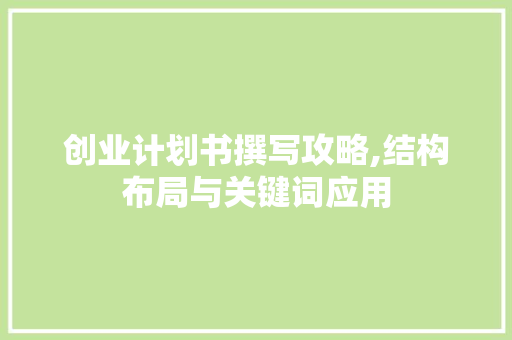 创业计划书撰写攻略,结构布局与关键词应用