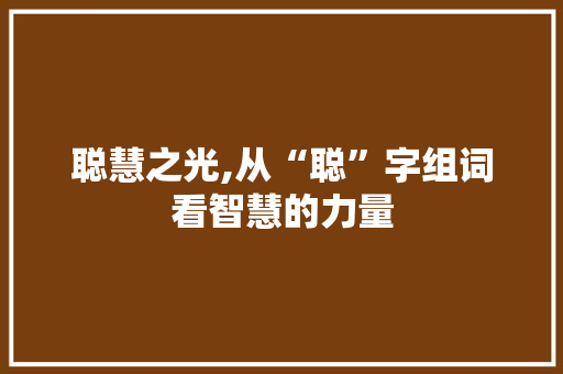 聪慧之光,从“聪”字组词看智慧的力量