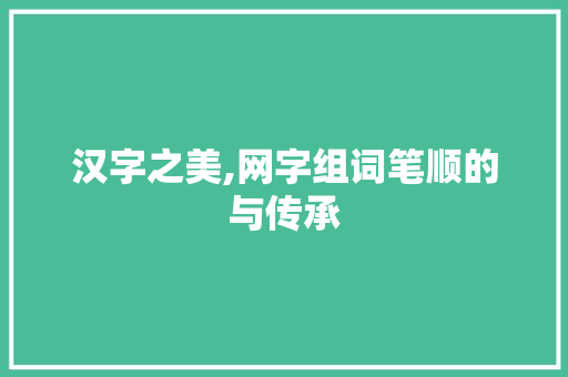 汉字之美,网字组词笔顺的与传承 特写稿