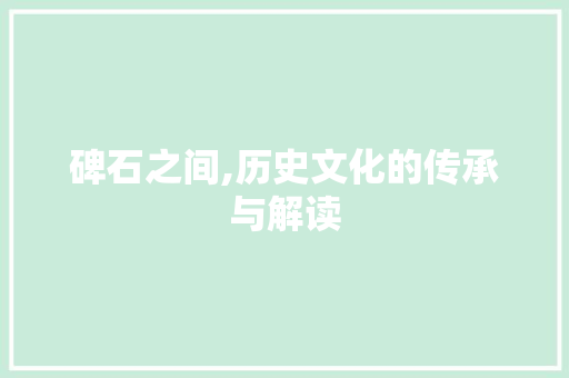 碑石之间,历史文化的传承与解读