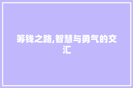 筹钱之路,智慧与勇气的交汇