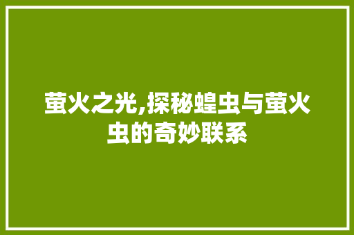 萤火之光,探秘蝗虫与萤火虫的奇妙联系