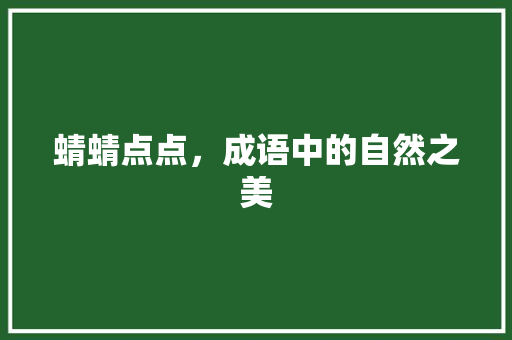 蜻蜻点点，成语中的自然之美