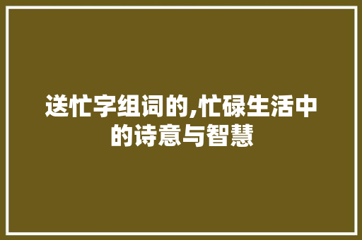 送忙字组词的,忙碌生活中的诗意与智慧