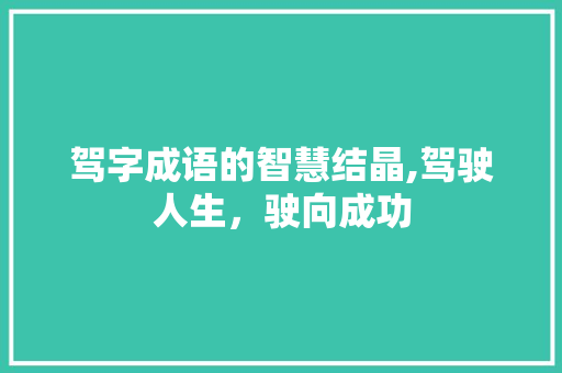 驾字成语的智慧结晶,驾驶人生，驶向成功