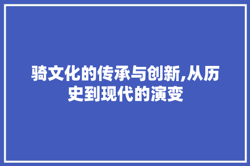 骑文化的传承与创新,从历史到现代的演变