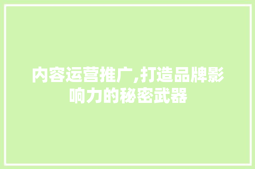 内容运营推广,打造品牌影响力的秘密武器