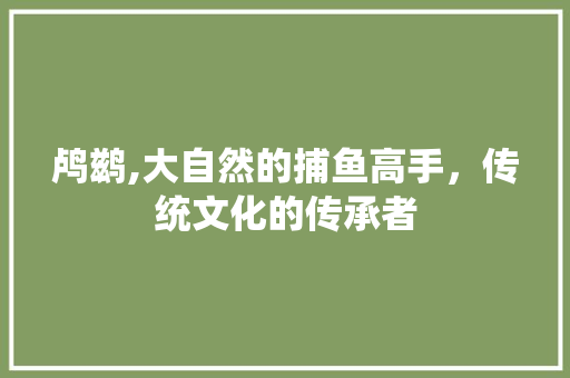 鸬鹚,大自然的捕鱼高手，传统文化的传承者