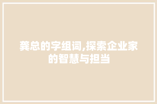 龚总的字组词,探索企业家的智慧与担当