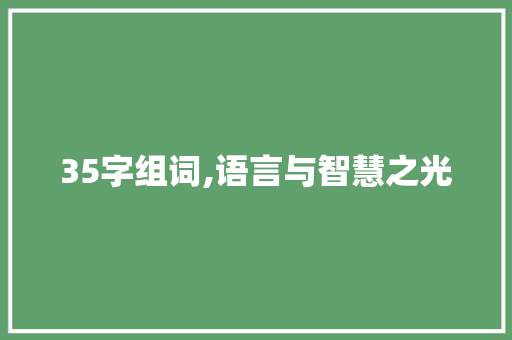 35字组词,语言与智慧之光
