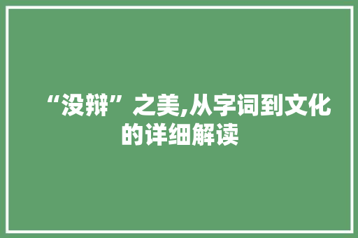 “没辩”之美,从字词到文化的详细解读