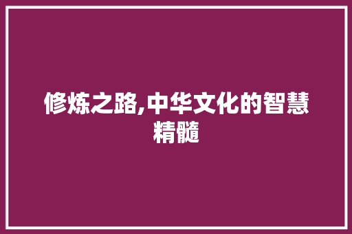 修炼之路,中华文化的智慧精髓