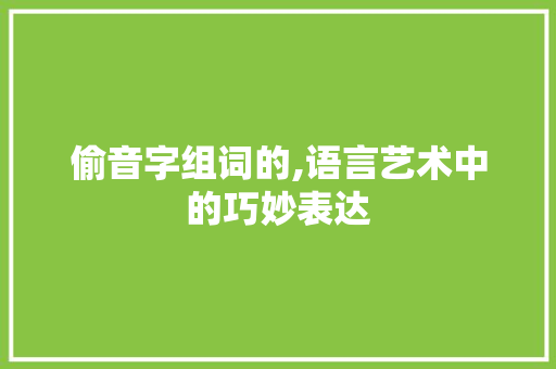 偷音字组词的,语言艺术中的巧妙表达 特写稿
