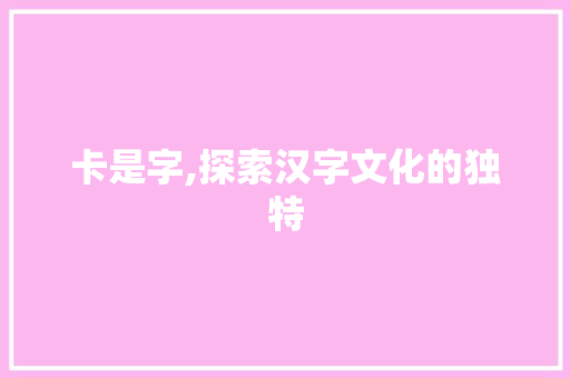 卡是字,探索汉字文化的独特