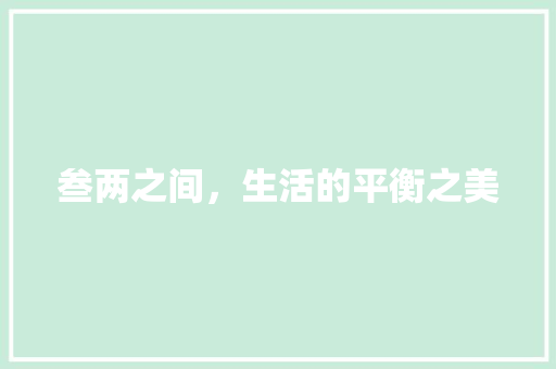 叁两之间，生活的平衡之美
