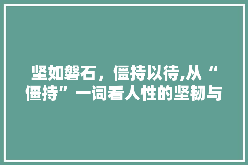 坚如磐石，僵持以待,从“僵持”一词看人性的坚韧与智慧