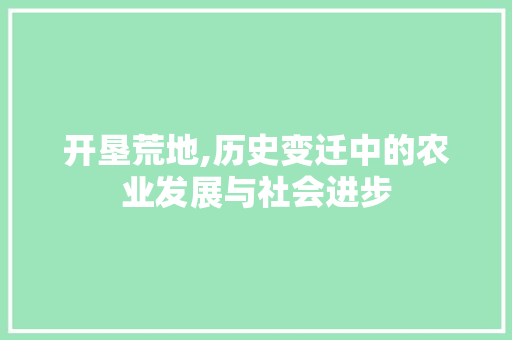 开垦荒地,历史变迁中的农业发展与社会进步