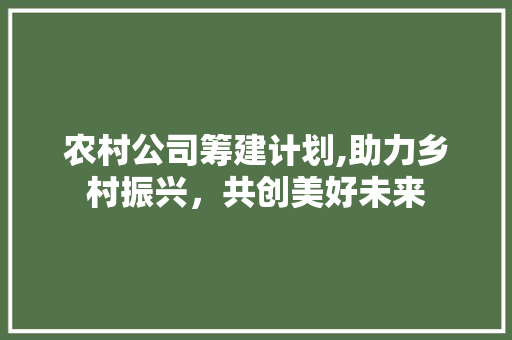 农村公司筹建计划,助力乡村振兴，共创美好未来