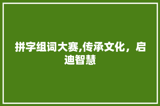 拼字组词大赛,传承文化，启迪智慧