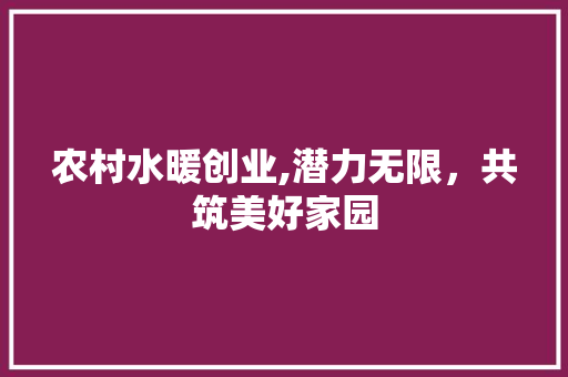 农村水暖创业,潜力无限，共筑美好家园
