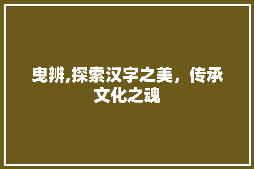 曳辨,探索汉字之美，传承文化之魂