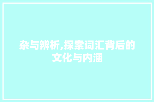 杂与辨析,探索词汇背后的文化与内涵