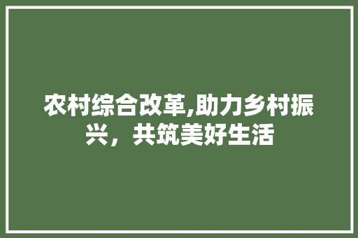 农村综合改革,助力乡村振兴，共筑美好生活