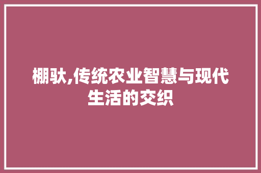 棚驮,传统农业智慧与现代生活的交织