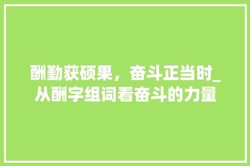 酬勤获硕果，奋斗正当时_从酬字组词看奋斗的力量