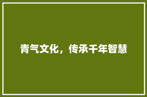 青气文化，传承千年智慧