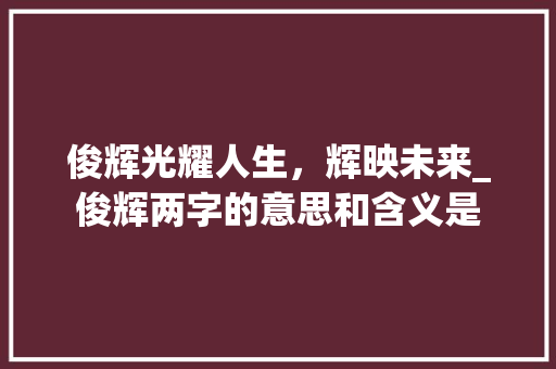 俊辉光耀人生，辉映未来_俊辉两字的意思和含义是