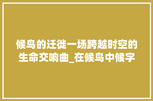 候鸟的迁徙一场跨越时空的生命交响曲_在候鸟中候字的意思是
