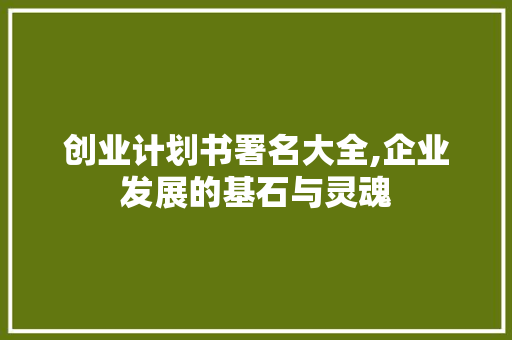 创业计划书署名大全,企业发展的基石与灵魂