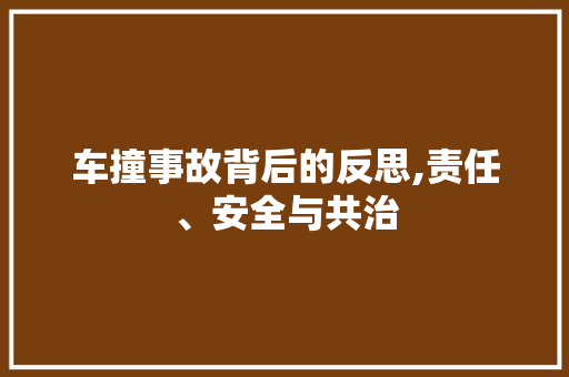 车撞事故背后的反思,责任、安全与共治