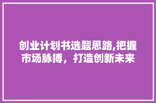 创业计划书选题思路,把握市场脉搏，打造创新未来