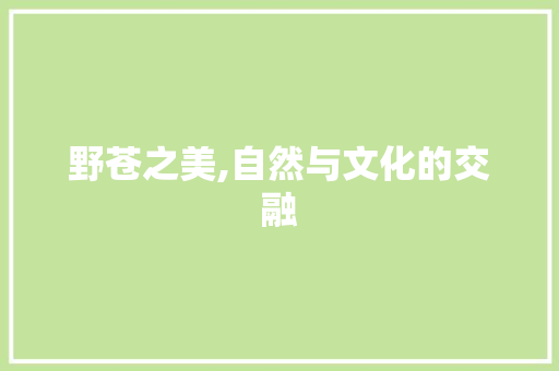 野苍之美,自然与文化的交融